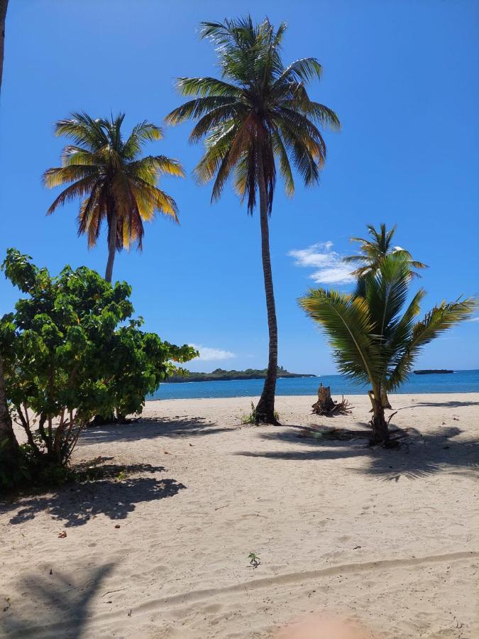Cabana Playa Cambiaso Bed & Breakfast Puerto Plata Exterior photo