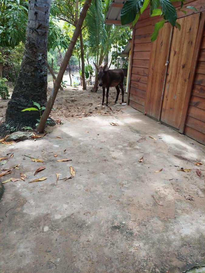 Cabana Playa Cambiaso Bed & Breakfast Puerto Plata Exterior photo